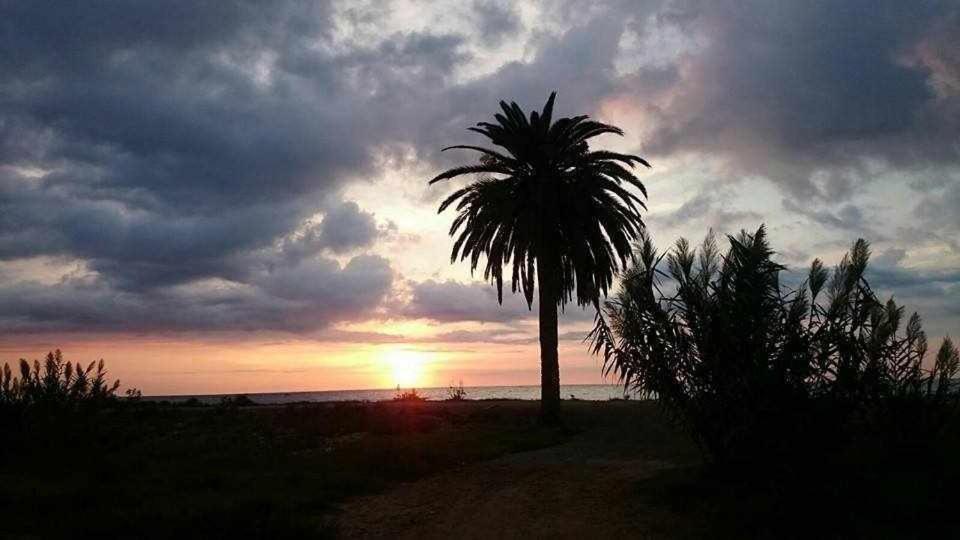 Mediterrania Marina Sagunto Zimmer foto